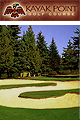 Kayak Point Golf Course